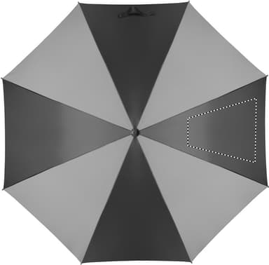 SEGMENT 3