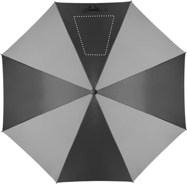 SEGMENT 4