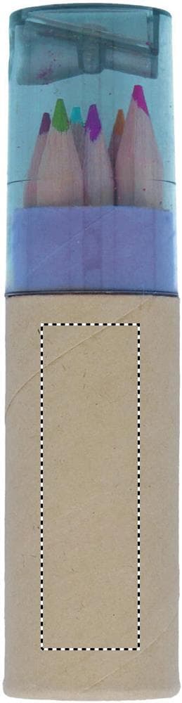 CARTON BACK