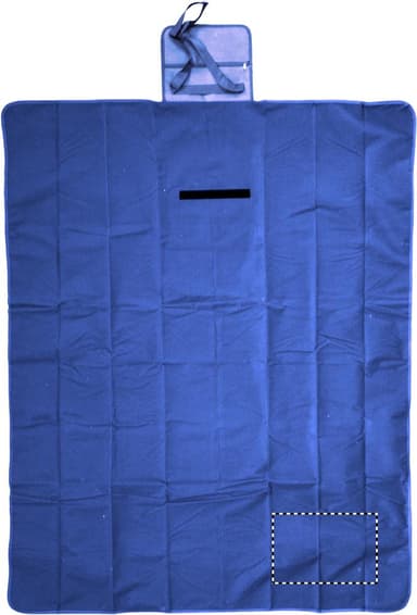 BLANKET TRANSFER